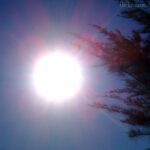 store the diesel fuel in dry place, away from direct sunglight